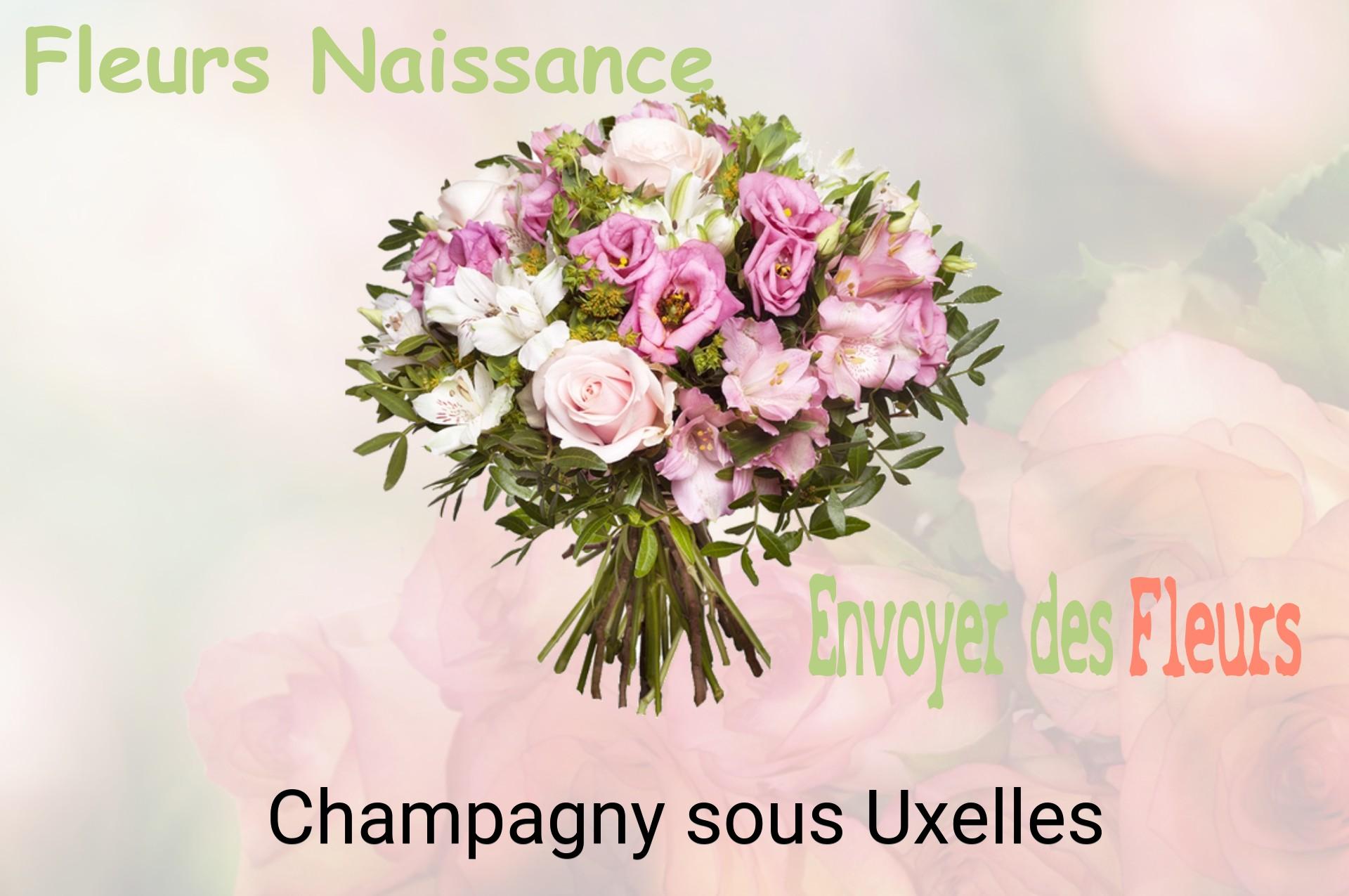Bouquet de fleurs de naissance livré à Champagny-sous-Uxelles